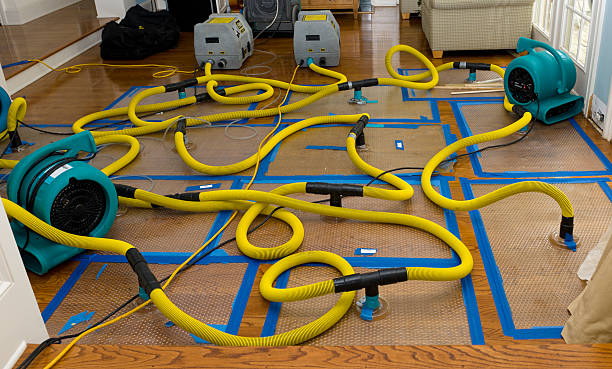 Professional Sewage Cleanup technician working in Amelia, OH